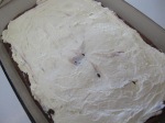 Chocolate Cream Cheese Cake (5)